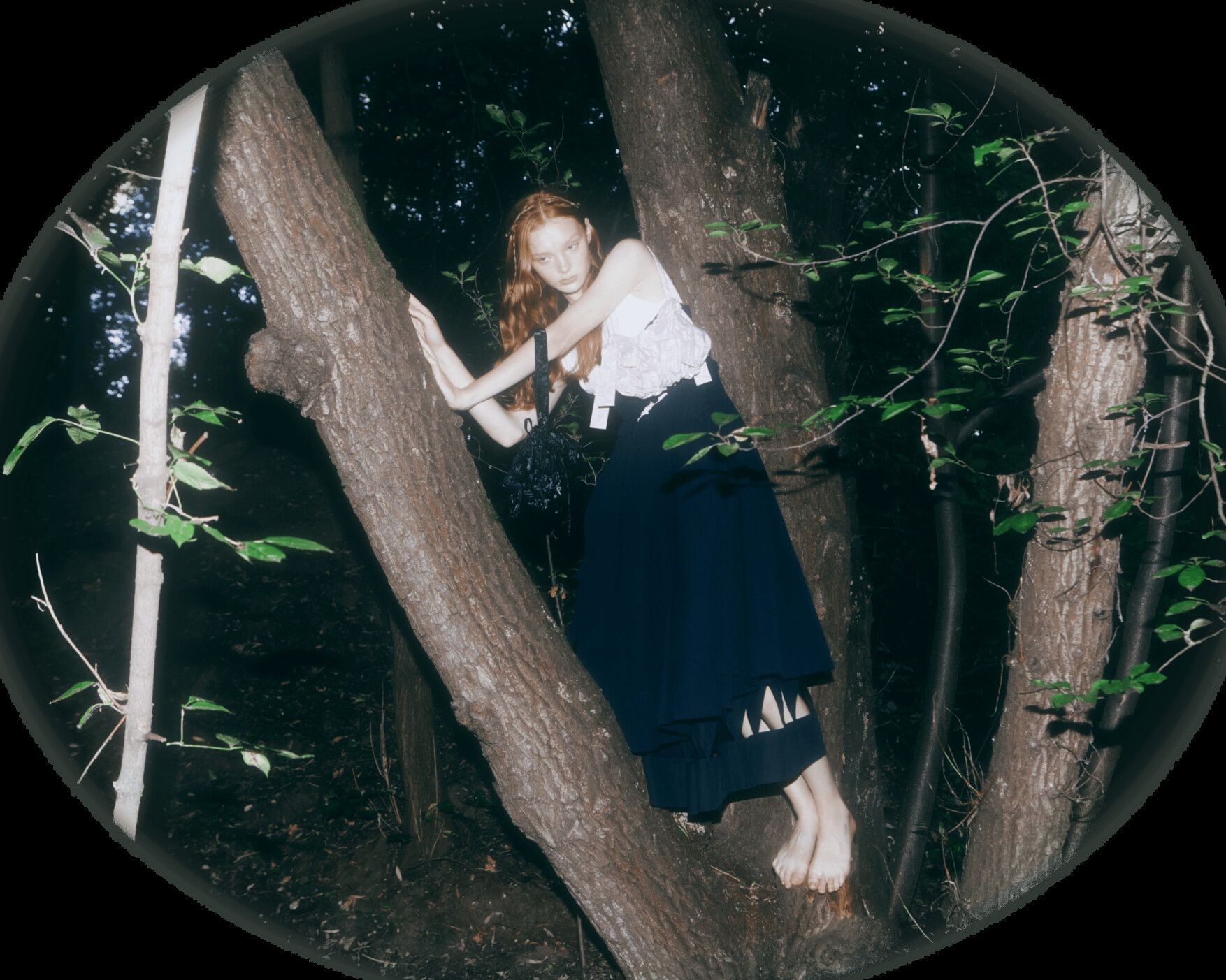 Imagem da galeria portfolio