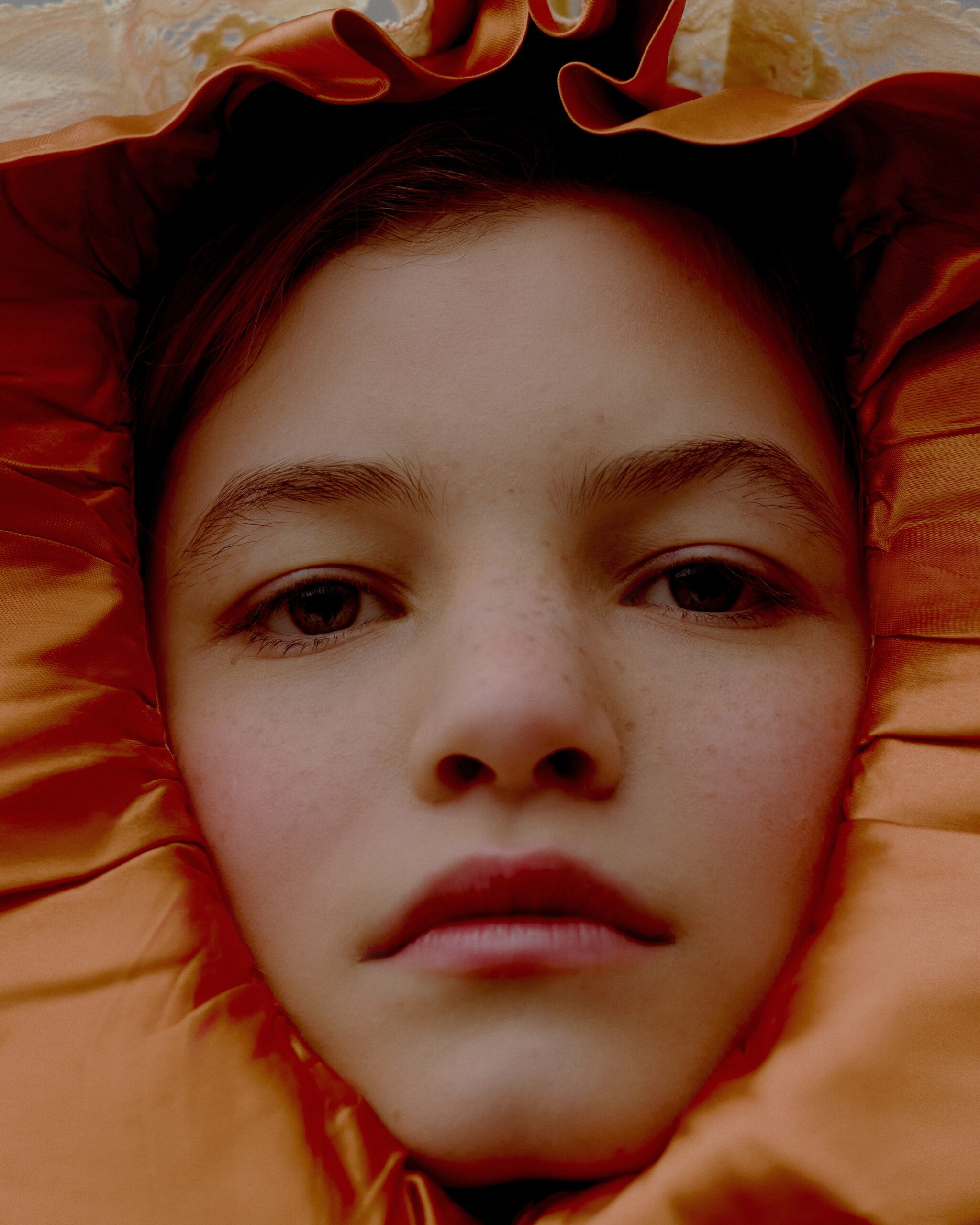 Imagem da galeria portfolio