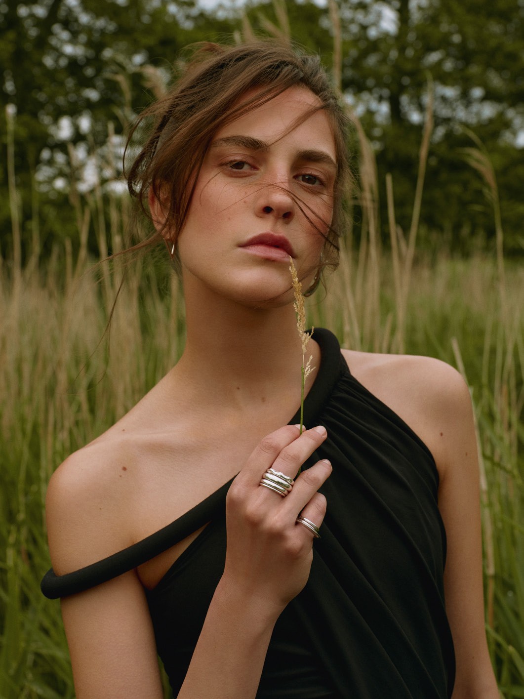 Imagem da galeria portfolio