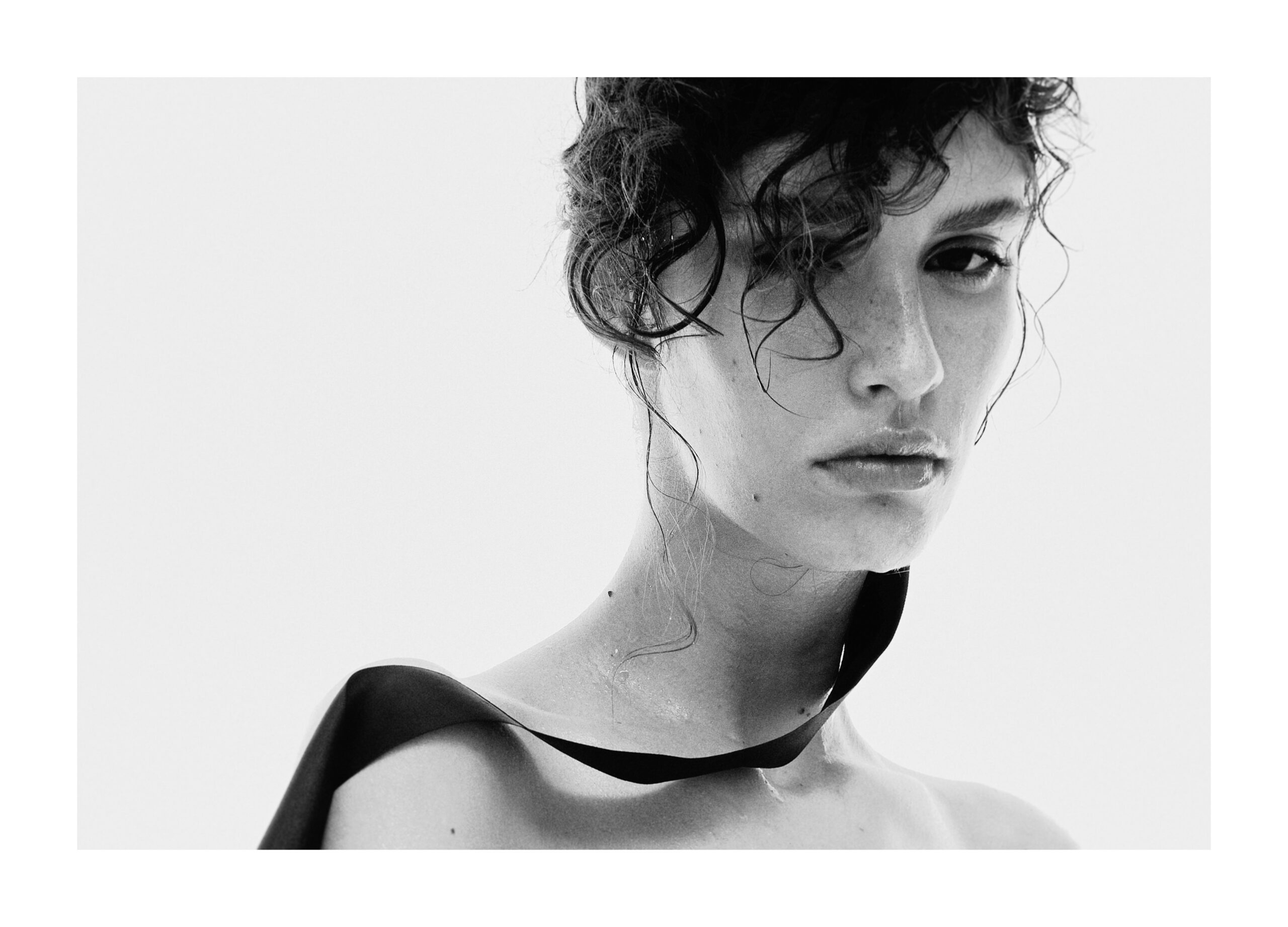 Imagem da galeria portfolio