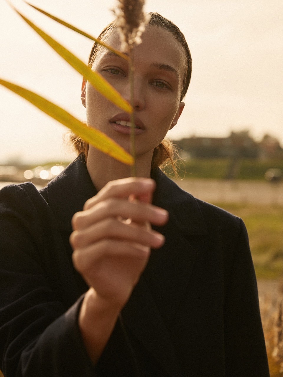 Imagem da galeria portfolio