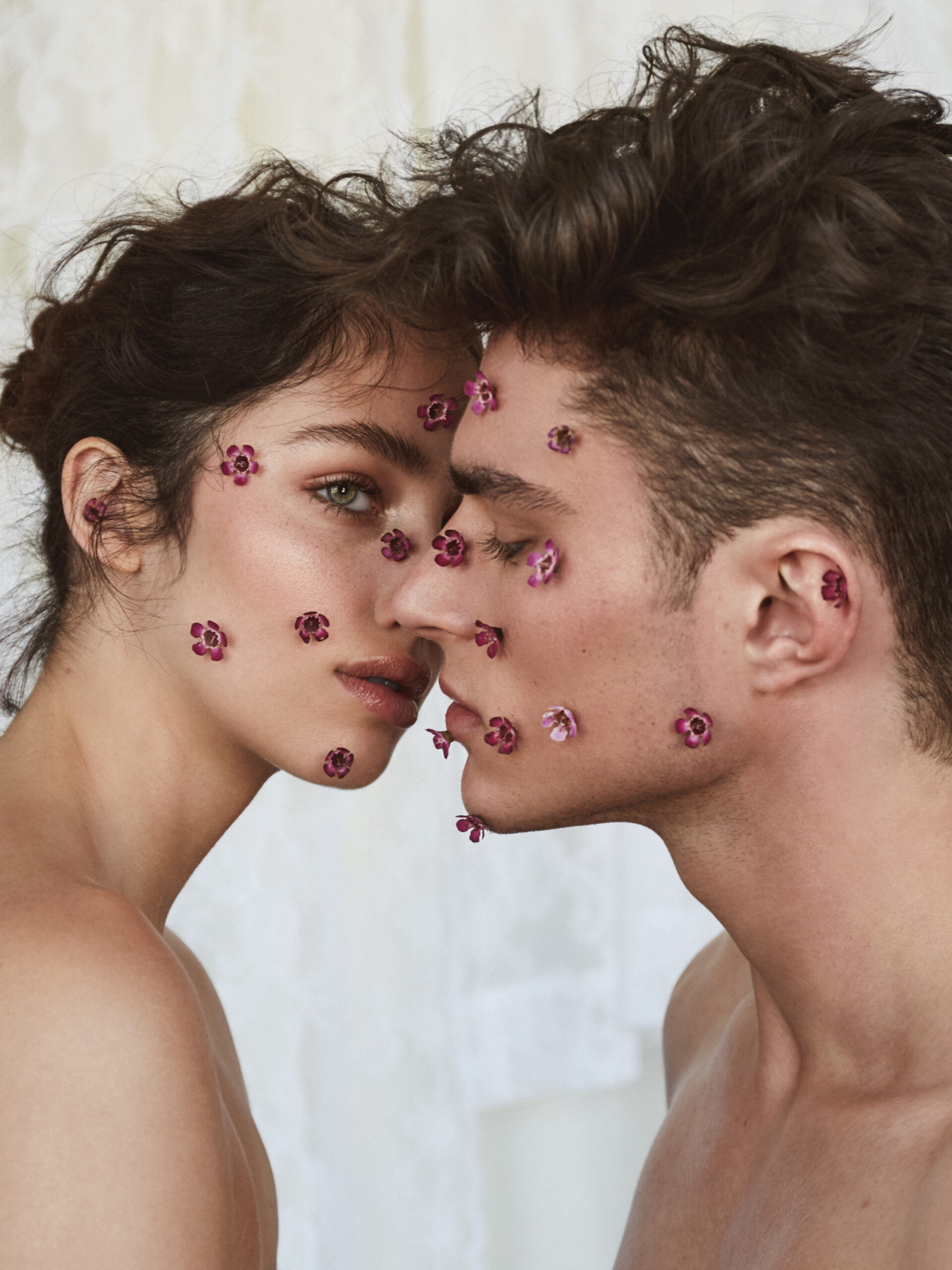 Imagem da galeria portfolio