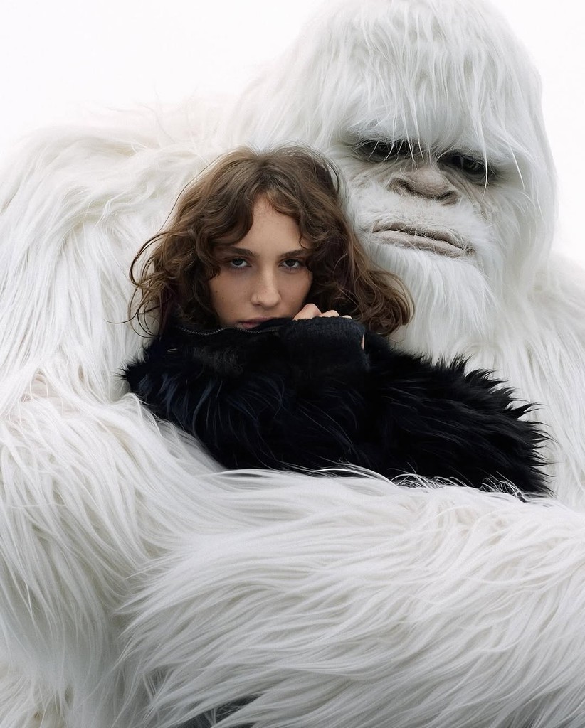 Imagem da galeria portfolio