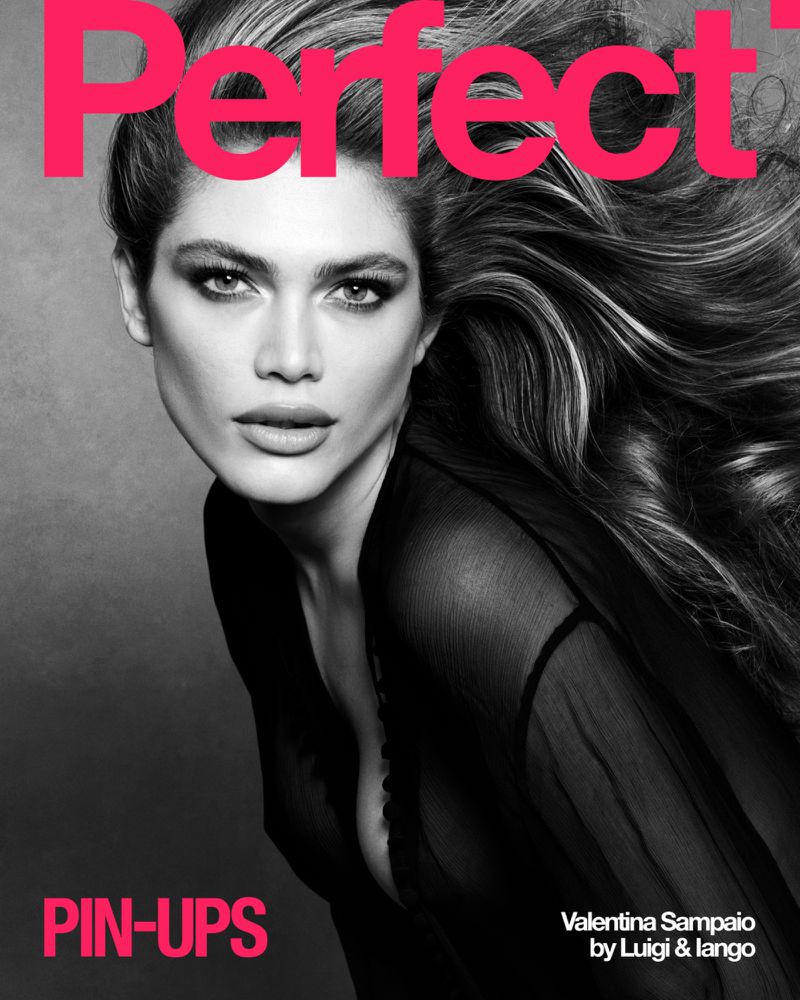 THE PERFECT MAGAZINE 2025